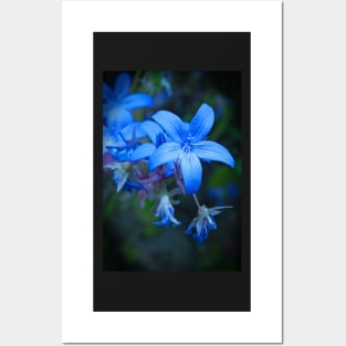 Blue Flower Posters and Art